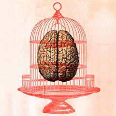 caged brain and heart square