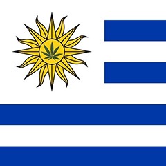Uruguay approves world's first national market for cannabis