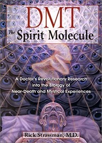 DMT: The Spirit Molecule