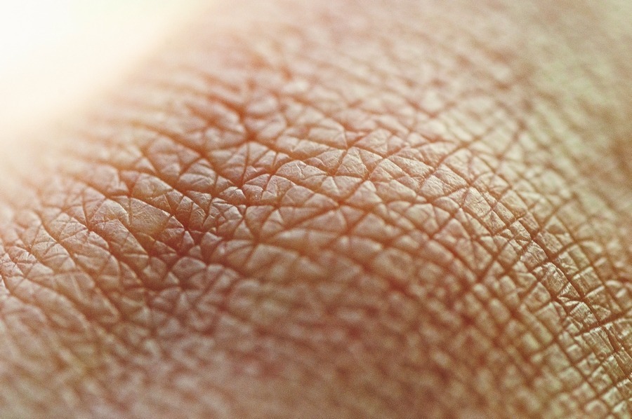 A web of lines on the skin of my knuckle.