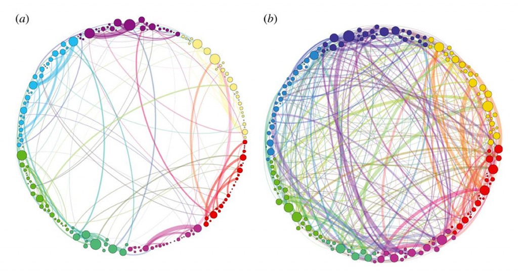 psilocybin and brain connectivity