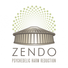 Hand in Hand: How Psychedelic Harm Reduction Is Making a Difference Now
