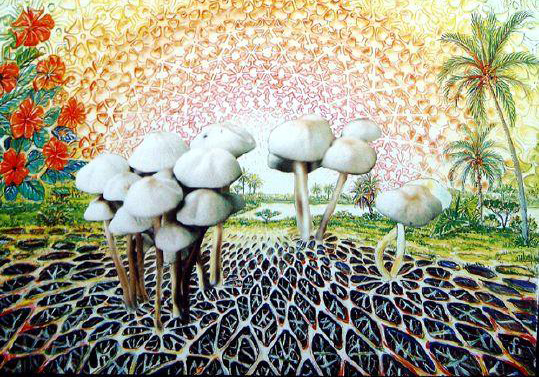 Magic Mushrooms